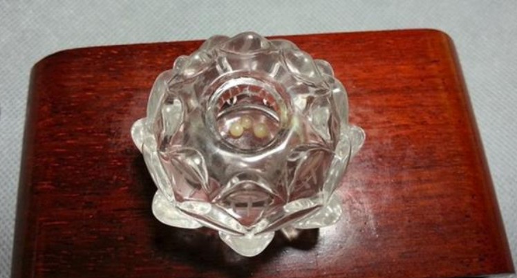 Fake Tooth Relics